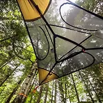 Ruhtinaanmaeen Spider Tree Tent Luxussátor