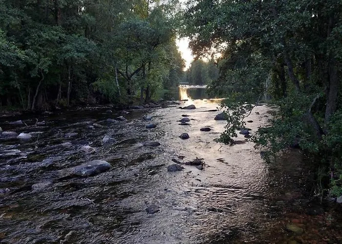 Ruhtinaanmaeen Spider Tree Tent אוהל מפואר *
